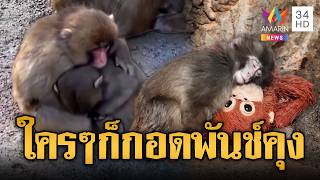 Download Lagu ซึ้งใจ! วันนี้ “พันช์คุง” ลูกลิงชื่อดังในญี่ปุ่น ถูกรับเข้าฝูงแล้ว | ข่าวอรุณอมรินทร์ | 22/02/69 MP3