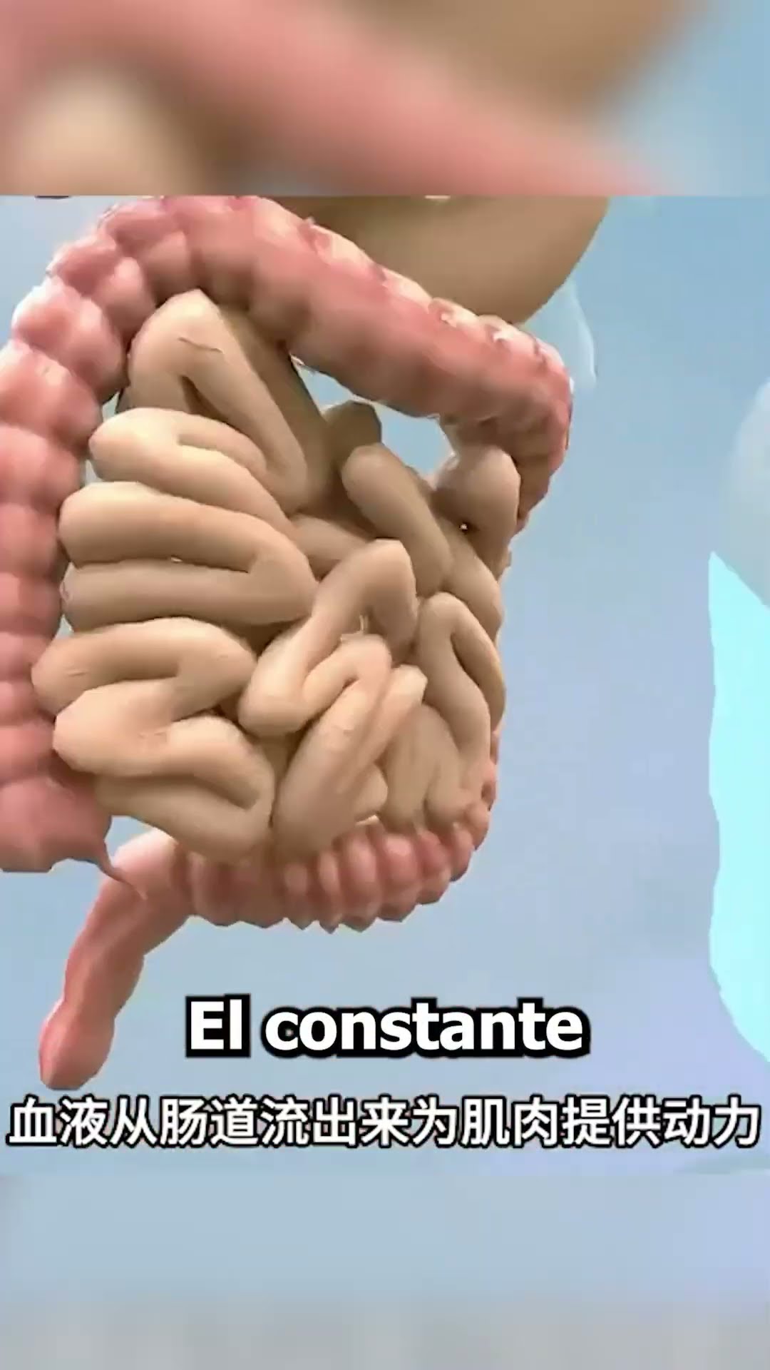 Se hizo ? mientras CORRÍA