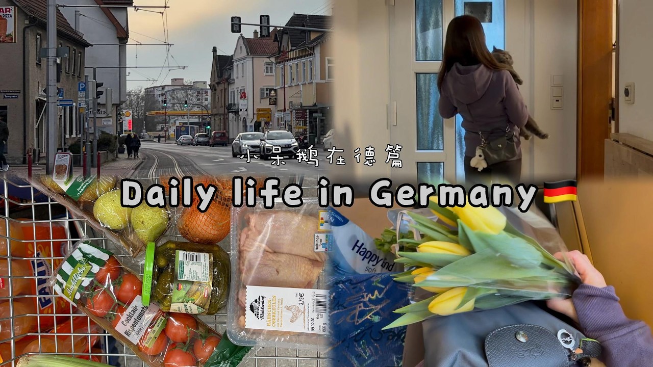 006.Daily life in Germany. 😺Walking cat| Cooking| Supermarket