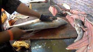 Amazing fish cutting skills/fastest fish cutting /big fish clean and fillet