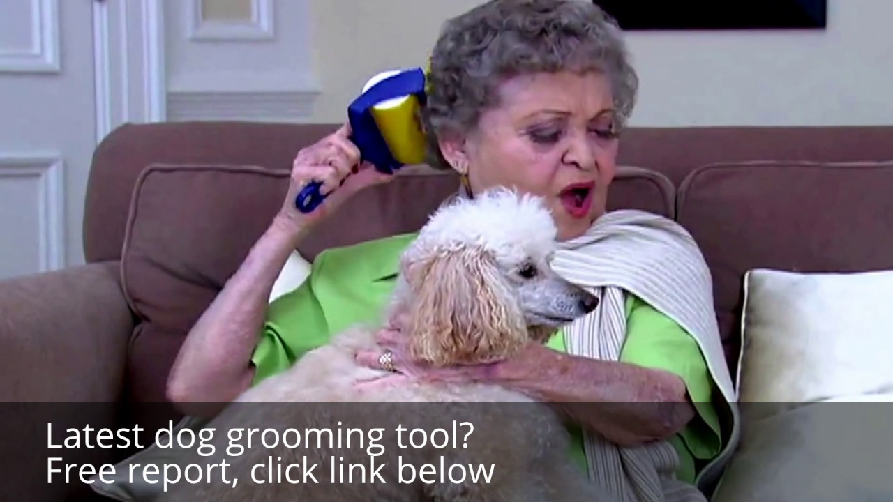 Poodle Grooming Tools Slicker brush for poodles YouTube