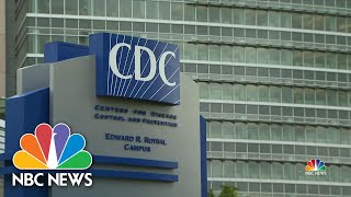 Hundreds Test Positive For Coronavirus At Georgia Summer Camp | NBC Nightly News