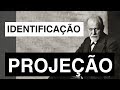 O que é projeção e identificação projetiva? | Christian Dunker | Falando nIsso 219