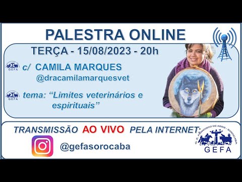 Assista: Palestra Online - c/ CAMILA MARQUES (15/08/2023)