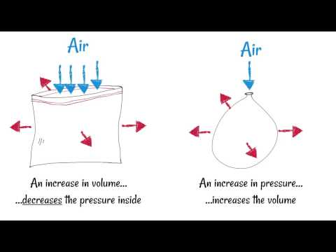 Inhaling and Exhaling - How breathing works