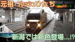 【485系の後継者､圧巻の連続通過】臨時特急･水戸偕楽園高尾号を乗り通してきた。