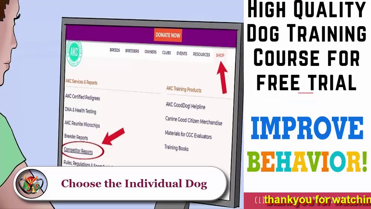 How To Find A Dog By Akc Registration Number Enquiry YouTube how-to-find-a-dog-by-akc-registration-number-enquiry-youtube