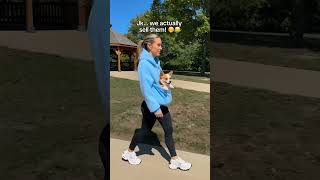 Comment “dog” for the link