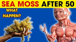THE #1 Reason Sea Moss is the Ocean’s Most Powerful Superfood