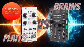 BEHRINGER BRAINS vs MUTABLE INSTRUMENTS PLAITS - huge sound comparison
