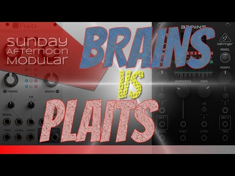 BEHRINGER BRAINS vs MUTABLE INSTRUMENTS PLAITS - huge sound comparison