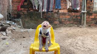 Yuri So Scared Of Dog In The House B-Arking At Her Xtremely Loud