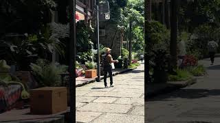 IMG 4512