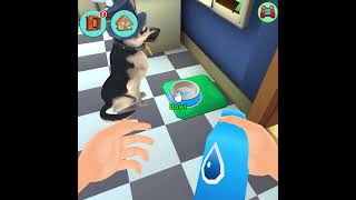 DGS ENG 1080х1080 30sec MD0009