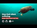 Stop their silent suffering. Make 2023 shark net free.