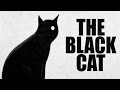 The black cat edgar allan poe classic horror audio book  chilling tales for dark nights