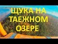 Рыбалка на таежном озере