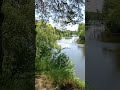 #смотри