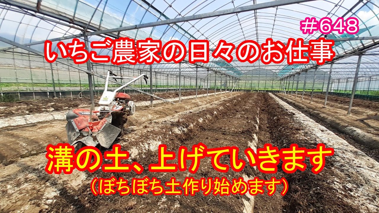 溝の土 上げていきます ぼちぼち土作り始めます いちご農家の日々のお仕事 ６４８ Youtube