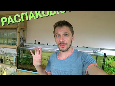 Fish from Kharkiv has arrived, doing an unboxing