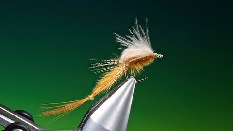 Fly Tying a Vulgata Mayfly Emerger with Barry Ord Clarke
