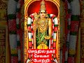 ஆறுமுக கடவுளின் அறிவுரை #shorts #tamil #viralvideo #vadapalanimurugantemple #shortsfeed #astrology