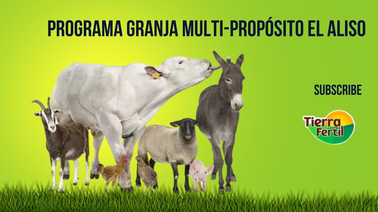 PROGRAMA GRANJA MULTI-PROPÓSITO EL ALISO