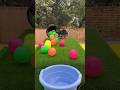 best boll roll family challenges ✅ #short #game