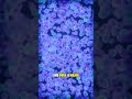 8-Hour Eating Window Reverses Biological Age
