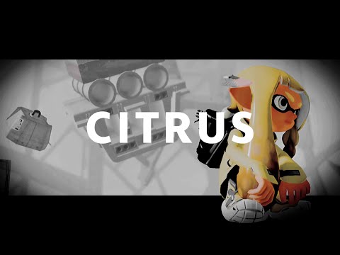 【Splatoon2】スクイックリンキル集×CITRUS【ウデマエX】