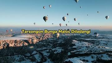 Nia Daniaty Feat Simanjuntak Stars - Mardua Holong (Video Lirik)