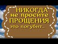 Никогда не просите прощения. Это погубит