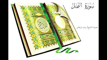 الشيخ رشيد سورة النمل