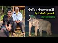 พังโย : ช้างหาย 18 ปี EP. 2