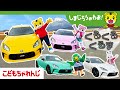【歌】しまじろうたちが車とダンス!「くるくる くるま」テレビ番組「しまじろうのわお!」