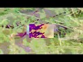 Naomi Punk // My Shadow (Official Video)