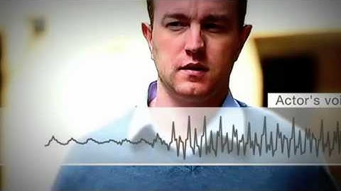 Former City trader Tom Hayes found guilty over Libor rate rigging   BBC News