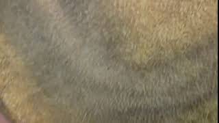 20181024 135738 4880 4 move out video