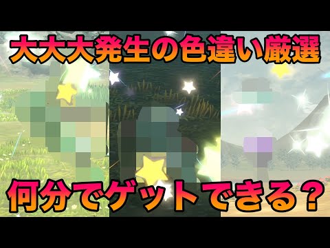 【検証】大大大発生で捕獲せず周回したら○分で色違いをゲットできたww【ポケモンレジェンズアルセウス】