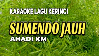 Lagu Kerinci Karaoke Simendo Jauh ( Karaoke / Lirik ) || Ahadi KM