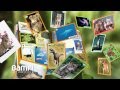 Bamf producciones  spot cromos animales 2012  panini espaa