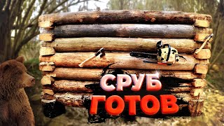 Баня из валежника. Сруб готов. Часть 4