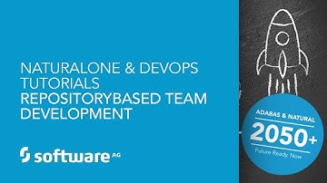 Repository-based Team Development