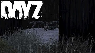 Has anyone seen this before? - DAYZ
