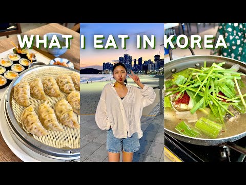 what i eat in korea (pt 2) handmade dumplings, seafood market, cold noodles, and exploring busan!