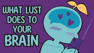 What Lust Does To Your Brain | Psychpulse