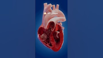 سبحان الله 🤲🏻#صوت_جميل #تلاوة_خاشعة #رح_سمعك #اكسبلور #islam #viral#300k#fyp#foryou #viral #300k#f