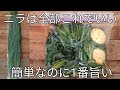 切って漬けるだけ【旨辛ニラ漬け】ご飯が止まりません!卵も旨すぎ!作り置き・常備野菜・大量消費レシピ