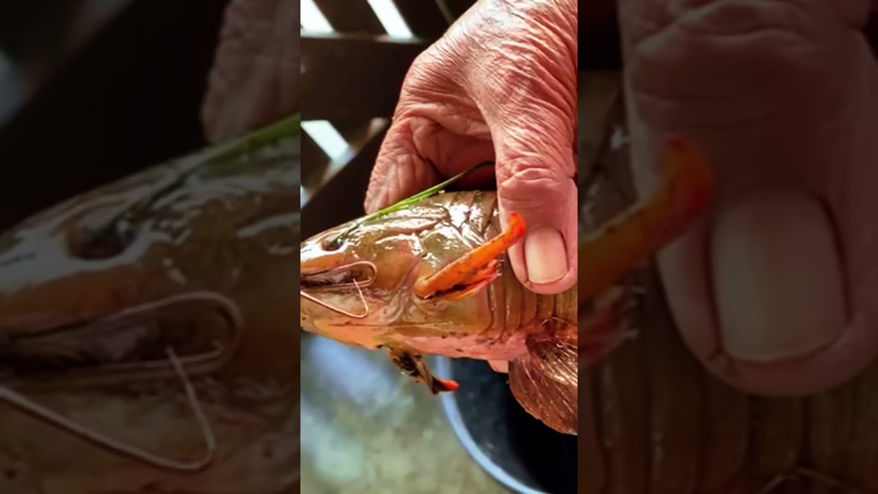 Adventure with Boyke 