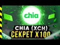 CHIA NETWORK (XCH) - МОНЕТА НА 100 ИКСОВ. ЧАСТЬ 2